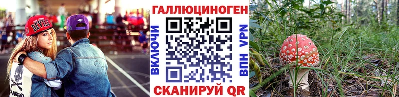 Купить где  Ардон  Псилоцибиновые грибы мухоморы 
